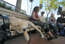 Noah’s A. Lends Hand to Homeless Kids