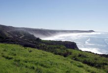 Trouble in Paradise?