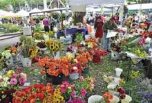 The Slow Flower Movement