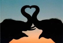 The Santa Barbara Channels Hosts “Video Valentines” Fundraiser And Offers Free Service To Military Families