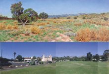 California Dreamin’