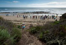 Beach Walk Raises Consciousness