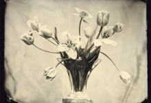 Vintage Camera, Fresh Images