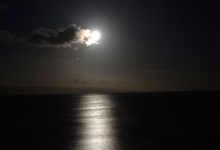 Moonlit Movement