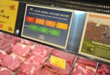 Whole Foods Tells Meat Shoppers the Whole Story
