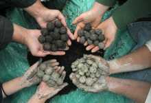 Get Your Hands Dirty Day