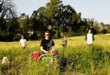 Up Close With … the Windmill Vandals