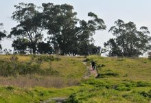 More Mesa Sold to Saudi