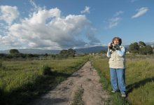 More Mesa Study Released