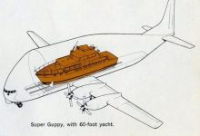 The Guppy