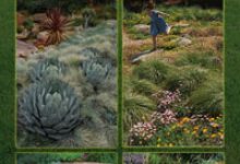 Reimagining the California Lawn