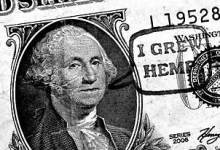 Washington Grew Hemp
