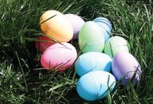 The Search for Seasonal Spheroids