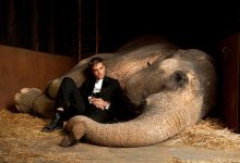 Water for Elephants