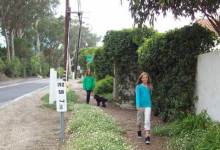 Sycamore Canyon Trail