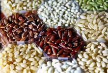 Save the Seeds