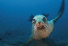 Deep Water