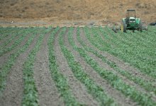 Of Lawsuits, Regulations, and Agriculture