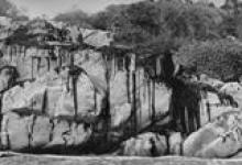 The Spill’s Broad Reach