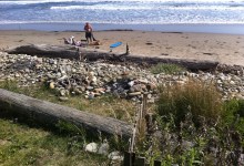 Haskell’s Beach Is Our Beach