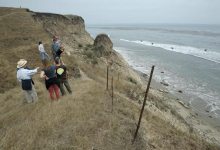 Broken Dreams, Budding Promises