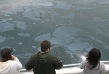Voyage to Coal Oil Point