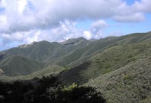 Hidden Wonders of Our Threatened Chaparral Forest