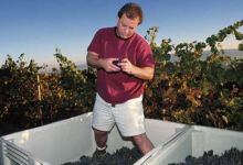 A Time and a Place for Arcadian Wines