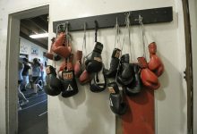 Primo Boxing: On the Ropes?