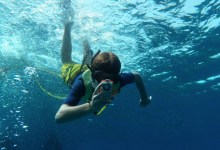 Middle East Meets West in Ocean for Life Program