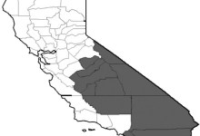 Santa Barbara: The New Monaco?