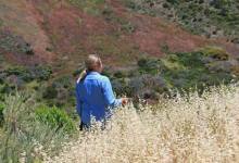 Arroyo Hondo Preserve