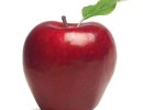 Apple Bird Feeders