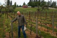 Sipping the Sierra Foothills