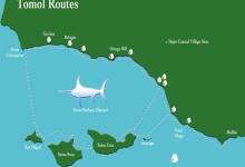 Our Changing Relationship to the Sea