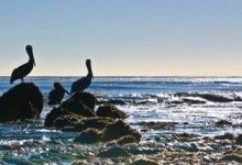 Real People Take Buses