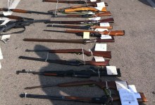 Bearcat vs. Dragon Man