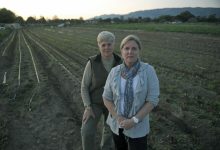 Fight for Future of Noleta Farmland