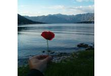 Marine Life Protection