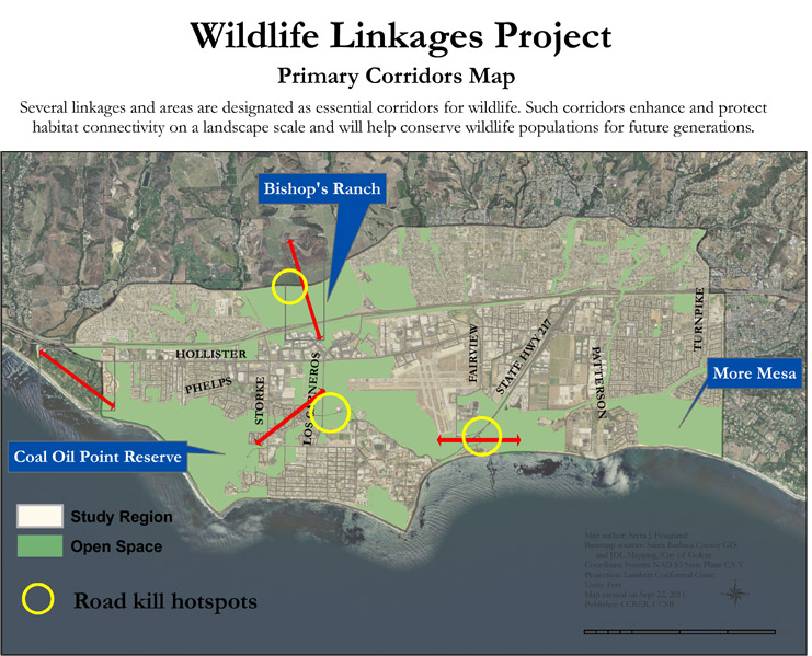 Where Do All the Bobcats Go? - The Santa Barbara Independent