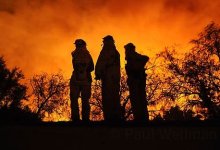 Studying Wildfires and Mental Health