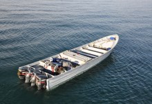 Capps Urges Federal, Local Coordination to Combat Pangas