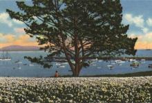 Santa Barbara and the Sea