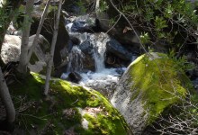 Figueroa Mountain One-Day Hike/Bike
