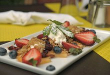 S Is for Scarlett Begonia