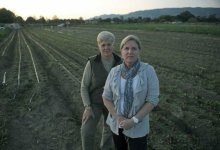 Outside Interference