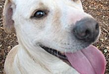 National Poison Prevention Week