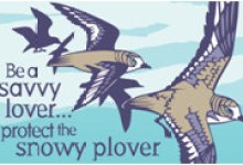 Endangered Species-Themed Condoms to Be Distributed