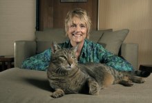 Won Ton, the Winning Cat