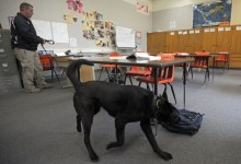 S.B. School District Approves Drug Dog Contract